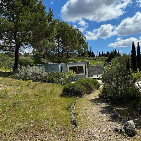 Hotel Chambre Tropicale Au Domaine De L'Aven Villeneuve-Minervois Exterior foto